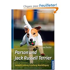 Parson und Jack Russell Terrier