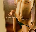 Erotic Lounge V.5
