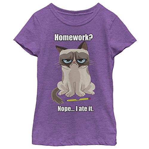 Grumpy Cat My Pet Ate My Homework Girls Graphic T Shirt - Fifth Sun