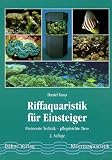 Riffaquaristik f�r Einsteiger. Preiswerte Einrichtung - Pflegeleichte Tiere