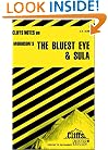 The Bluest Eye and Sula (Cliffs Notes)
