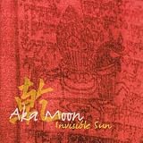 Invisible Sun