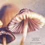 Tattoos & Mushrooms