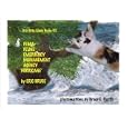 Itty Bitty Kiddy Books: FEMA - Feline Emergency Management Agency - 'Hurricane' by Eric Bruce and Bruce E. Pestilli