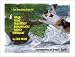 Itty Bitty Kiddy Books: FEMA - Feline Emergency Management Agency - Hurricane