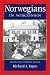 Norwegians in Wisconsin (Ethnic Series)
