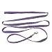 Lupine Flutterby 1/2 inch Small Dog Lead (4 feet)