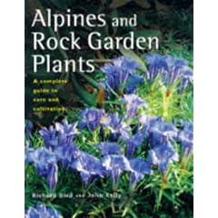 Alpines and Rock Garden Plants: A Complete Guide to Care and Cultivation