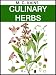 CULINARY HERBS : Their Cultivation, Harvesting, Curing and Uses [Illustrated]
