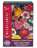 Buzzy Seeds Hummingbird & Butterfly Mixture of Annuals & Perennials. 2,500 Seeds Blooms 20 Flower Varieties! Covers 100 Sq feet! ~ Watch Butterflies and Humming Birds come to your beautiful garden. Great Gift Idea BEST SELLER! 518PISW5O1L. SL160 Buzzy Seeds Hummingbird & Butterfly Mixture of Annuals & Perennials. 2,500 Seeds Blooms 20 Flower Varieties! Covers 100 Sq feet! ~ Watch Butterflies and Humming Birds come to your beautiful garden. Great Gift Idea BEST SELLER!