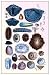 Art Poster, Shells: Monomyaria, Pteropoda, and Gasteropoda - 18.75 x 27.5