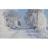 Poster 110 x 70 cm - "Wunderland" von Tanja Riedel - auch in anderen Gr��en und als Leinwandbild erh�ltlichvon "POSTERLOUNGE"