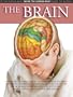 The Brain (Inside the Human Body)