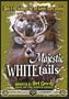 Majestic Whitetails
