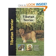 Tibetan Terrier (Pet love)