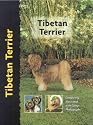 Tibetan Terrier (Pet love)