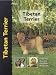 Books : Tibetan Terrier (Pet love)