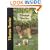 Tibetan Terrier (Pet love)
