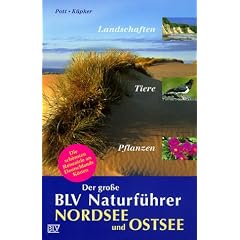 Der gro�e BLV Naturf�hrer Nordsee und Ostsee