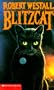 Blitzcat