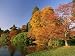 Acer Trees in Autumn, Sheffield Park, Sussex, England, United Kingdom Art Photographic Poster Print by Michael Busselle, 24x18