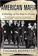 American Mafia: A History of Its Rise to Power