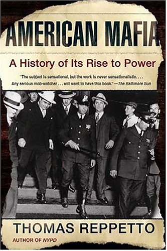 City Travel Guides Discounted   : American Mafia: A History of Its Rise to Power
