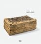Gunther Uecker: Twenty Chapters