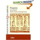 Property (Examples and Explanations) by D. Barlow Burke and Joseph A. Snoe