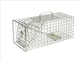 Picture Of The Big Cheese - Squirrel Cage Trap