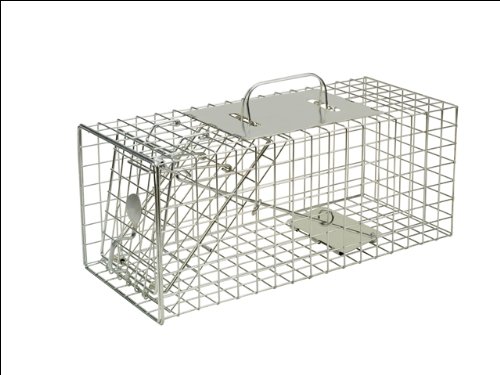 The Big Cheese - Squirrel Cage Trap