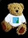 Teddy Bear with Cape Verde t-shirt