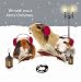 Crazy Christmas Guinea Pigs Luxury Christmas Cards Pack