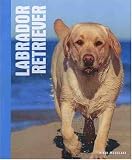 Labrador Retrievers