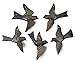 Haitian Birds Recycled Steel Drum Art 3-D Wings Set of 5 Decorative Metal Wall Hanging Art 5 x 4.5 inches