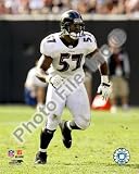 Bart Scott , 8x10