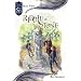 Riddle in Stone (Knights of the Silver Dragon)