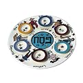 Passover Seder Plate - 14"