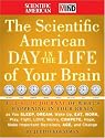 The Scientific American Day in the Life of Your Brain