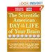 The Scientific American Day in the Life of Your Brain