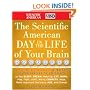 The Scientific American Day in the Life of Your Brain