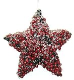 6 Icy Red Pepperberry Glitter Star Christmas Ornament