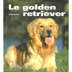 Le golden retriever