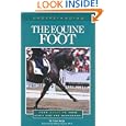 Understanding the Equine Foot (The horse care health care library) by Fran Jurga