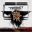 Invaders Must die [Vinyl LP]