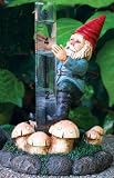 Climbing Gnome Rain Gauge