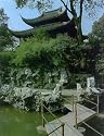Gardens in Suzhou