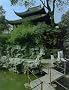 Gardens in Suzhou