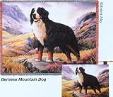 Bernese Mountain Dog Throw - 70 x 54 Blanket/Throw