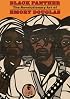 Black Panther: The Revolutionary Art of Emory Douglas